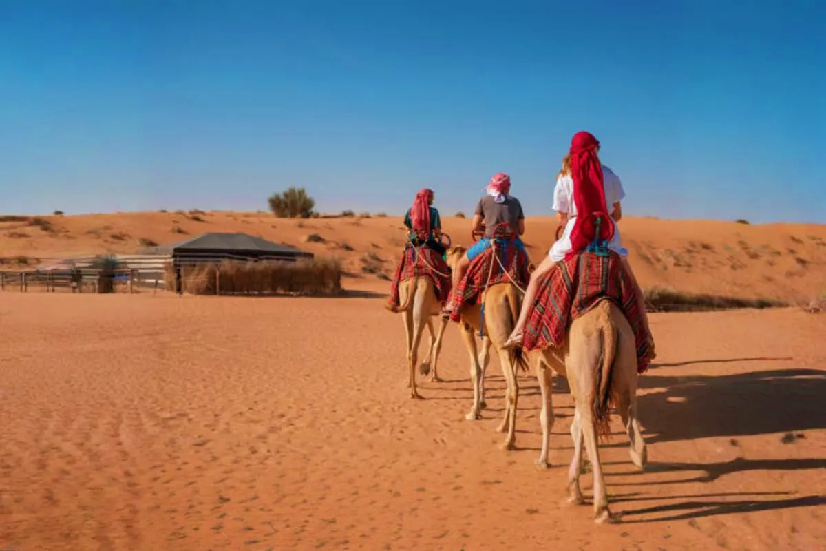 Excursions & Activities gallery 2
