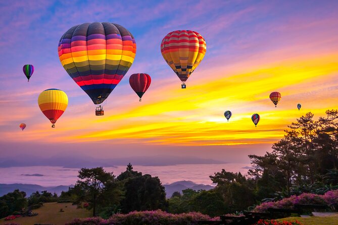 Luxury desert safari and exclusive excursion experience